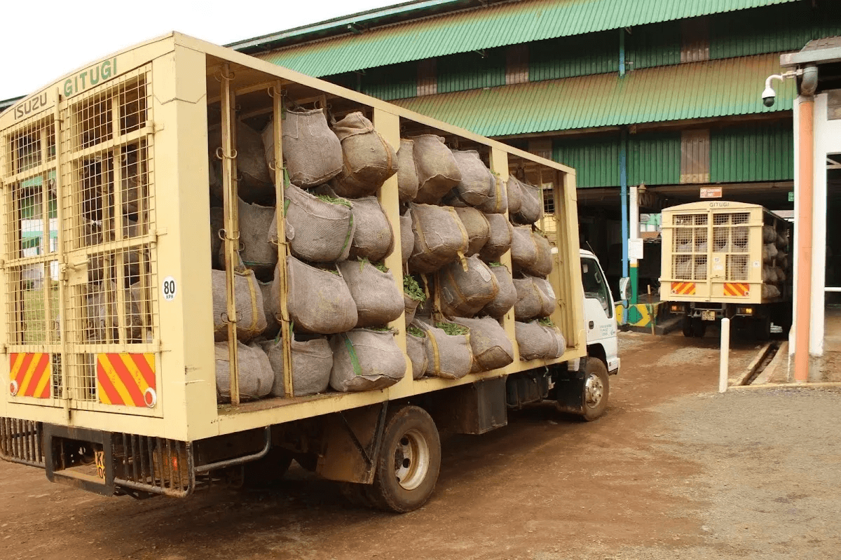 For Tea Factories